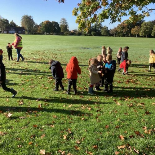 Exploring our local park 